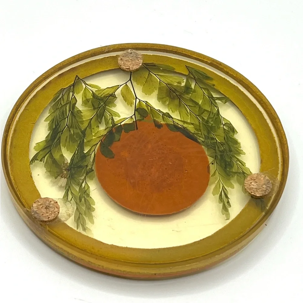 Vintage Lucite Acrylic Pressed Flowers Mandarin Round Trivet 5 in Diameter